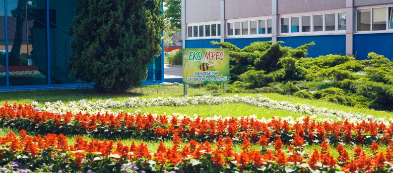 Centrum Edukacji Ekologicznej „EkoSzkoła”